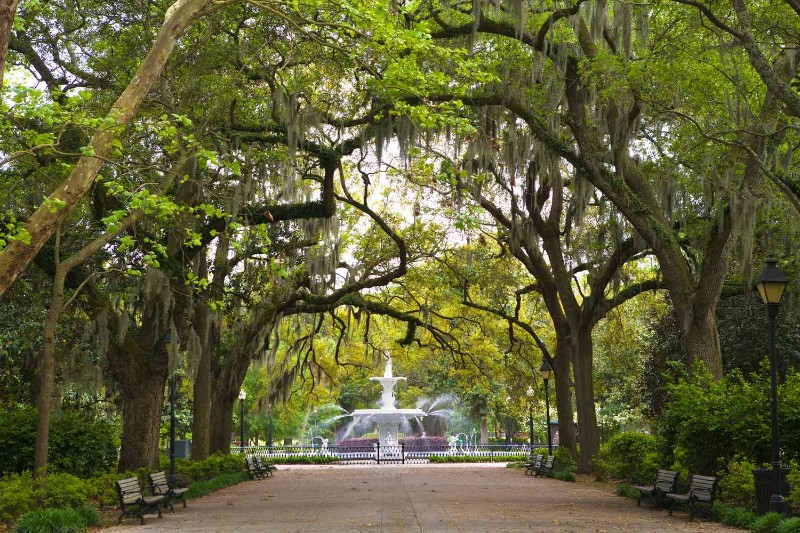 Savannah